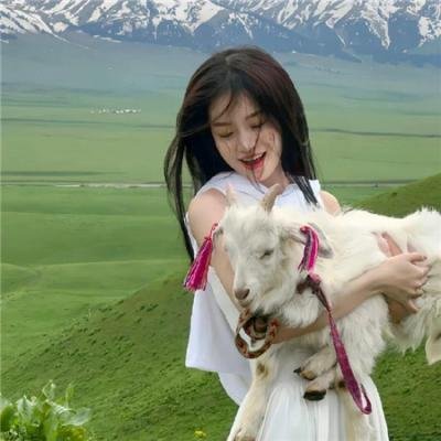 射雕英雄传之东邪西毒粤语